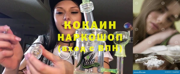 прущие грибы Новодвинск
