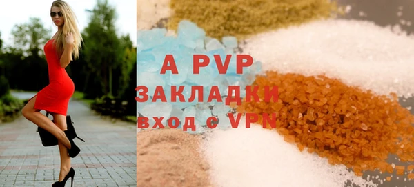 прущие грибы Новодвинск