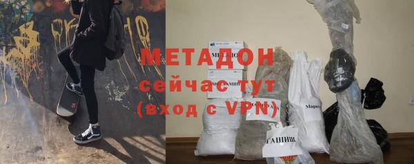 прущие грибы Новодвинск