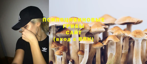 прущие грибы Новодвинск