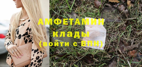 прущие грибы Новодвинск