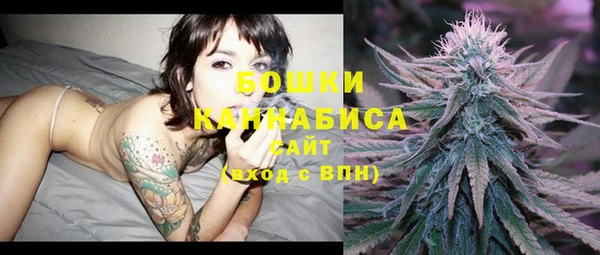 прущие грибы Новодвинск
