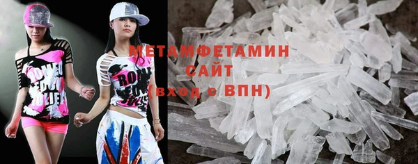 прущие грибы Новодвинск