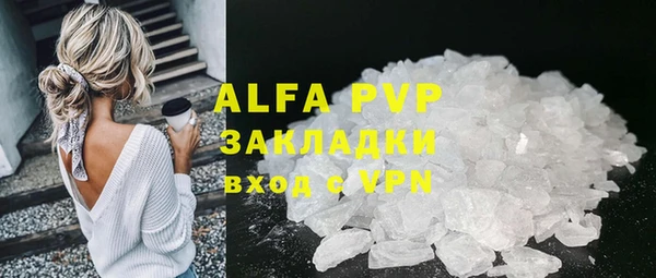 прущие грибы Новодвинск