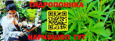 дистиллят марихуана Берёзовский